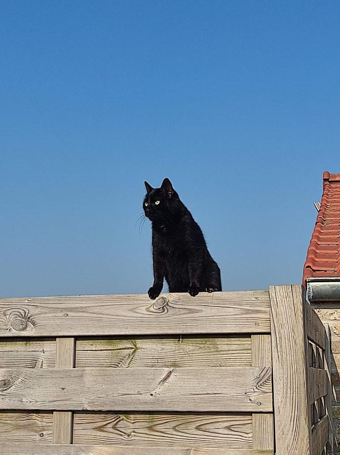 Villa De Blinker Knokke-Heist Esterno foto